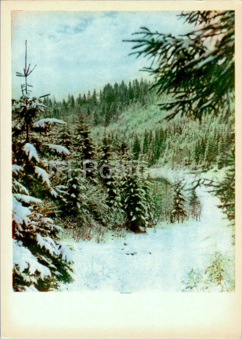 Carpates - Karpates - Région - au pied de la montagne Hoverla - 1962 - Ukraine URSS - inutilisé 