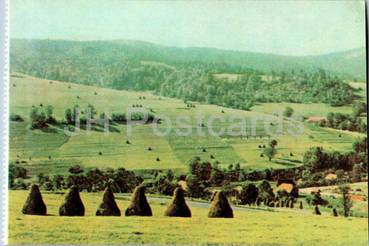 Carpates - Karpates - Dans les Carpates vertes - 1967 - Ukraine URSS - inutilisé