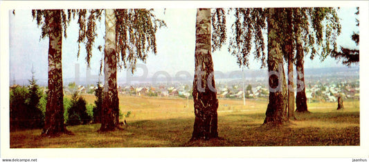 Russian composer Tchaikovsky museum in Votkinsk - town of Votkinsk - birch trees - 1979 - Russia USSR - used - JH Postcards