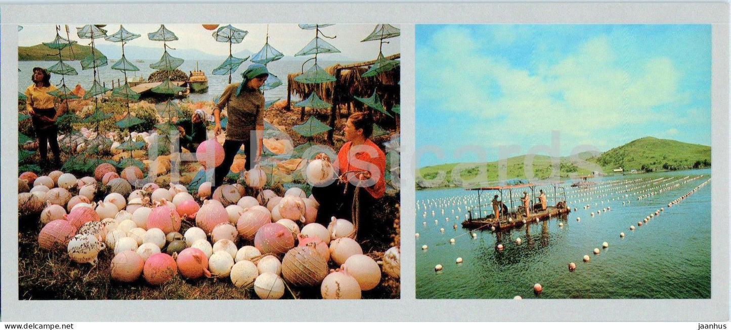 Bay of the Peter the Great - The first USSR sea combs farm - 1980 - Russia USSR - unused - JH Postcards