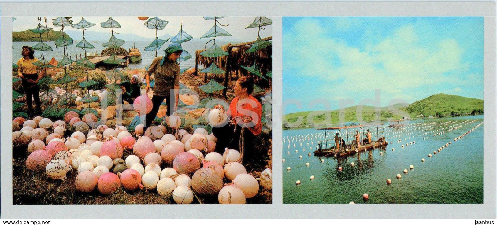 Bay of the Peter the Great - The first USSR sea combs farm - 1980 - Russia USSR - unused - JH Postcards