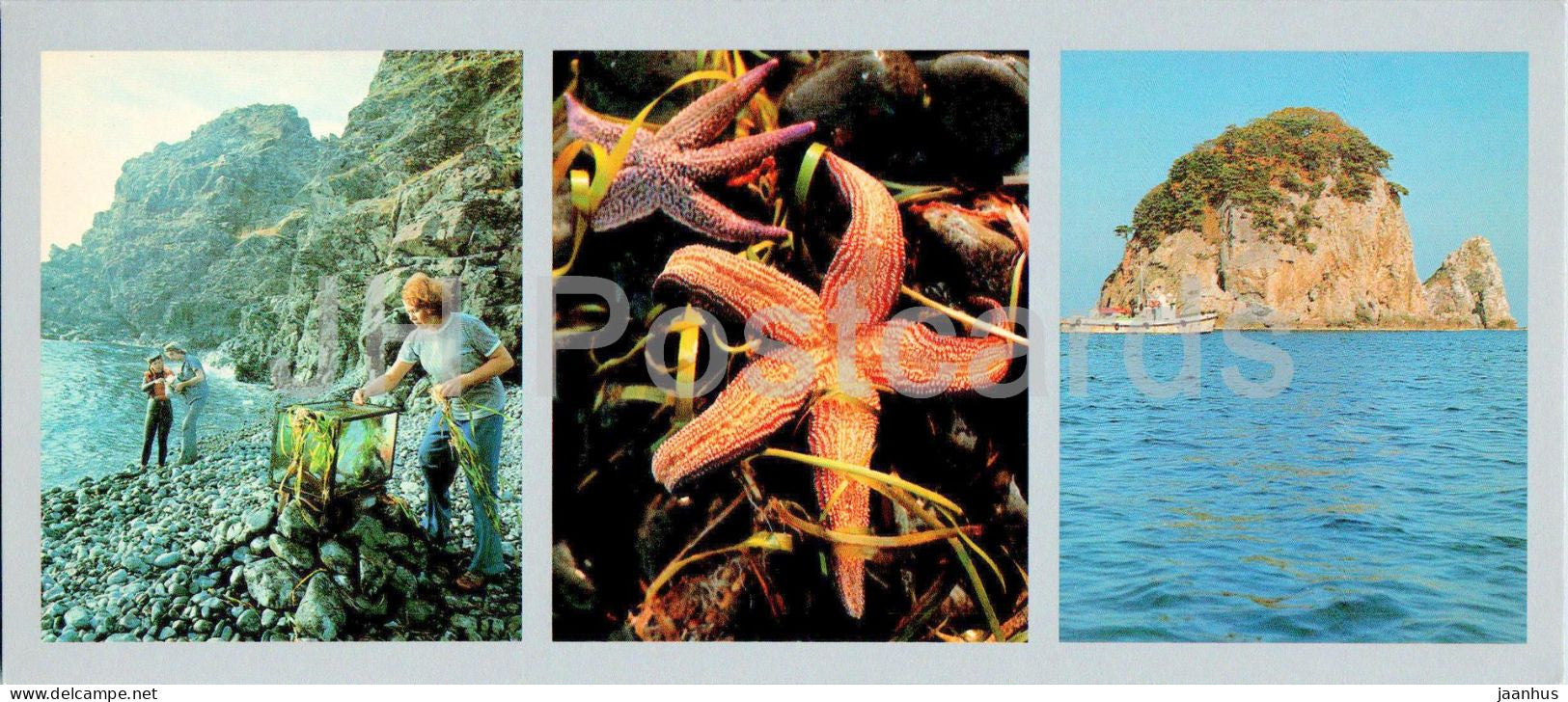 Bay of the Peter the Great - laboratory - scientist research - starfish - 1980 - Russia USSR - unused - JH Postcards