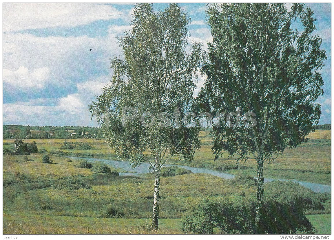 view at Sorot river - birch trees - 1989 - Russia USSR - unused - JH Postcards