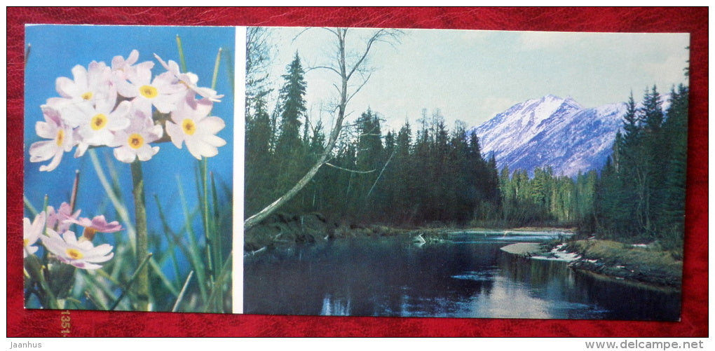 flowers _3 - Siberia blooms - 1973 - Russia USSR - unused - JH Postcards