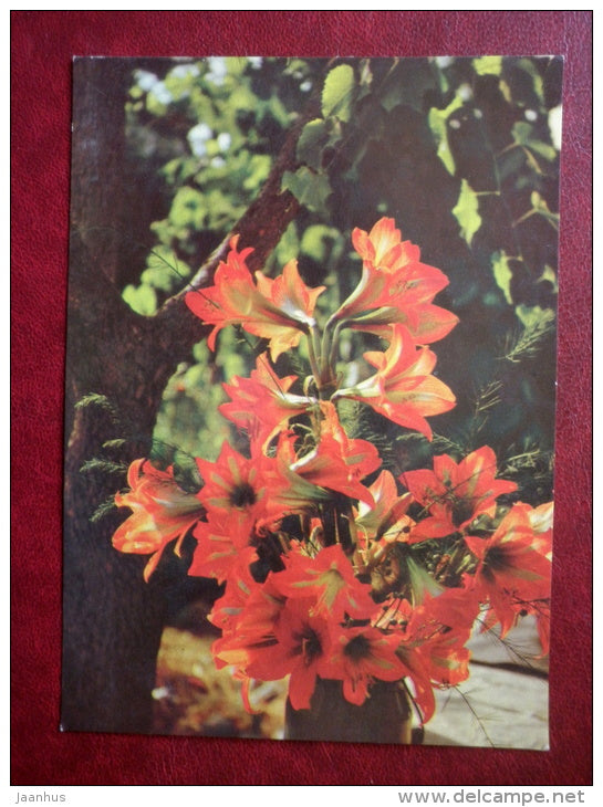 Greeting Card - red lily - flowers - 1979 - Russia USSR - used - JH Postcards