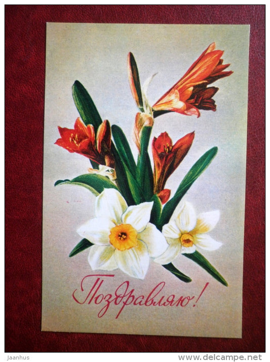 Greeting Card - by L. Kirillov - narcissus - flowers - 1979 - Russia USSR - unused - JH Postcards