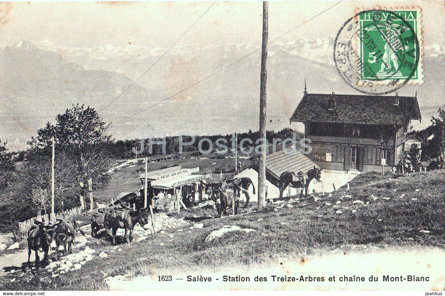 Saleve - Station des Treize Arbres et chaine du Mont Blanc - donkey - 1623 - old postcard - 1911 - France - used - JH Postcards