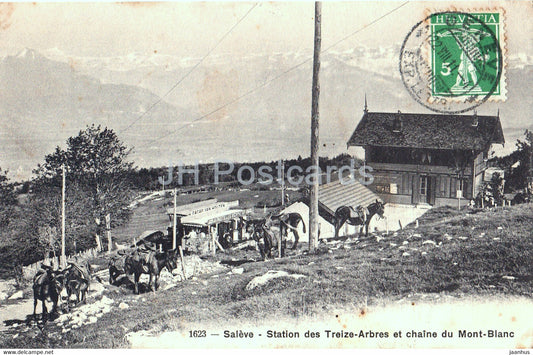 Saleve - Station des Treize Arbres et chaine du Mont Blanc - donkey - 1623 - old postcard - 1911 - France - used - JH Postcards