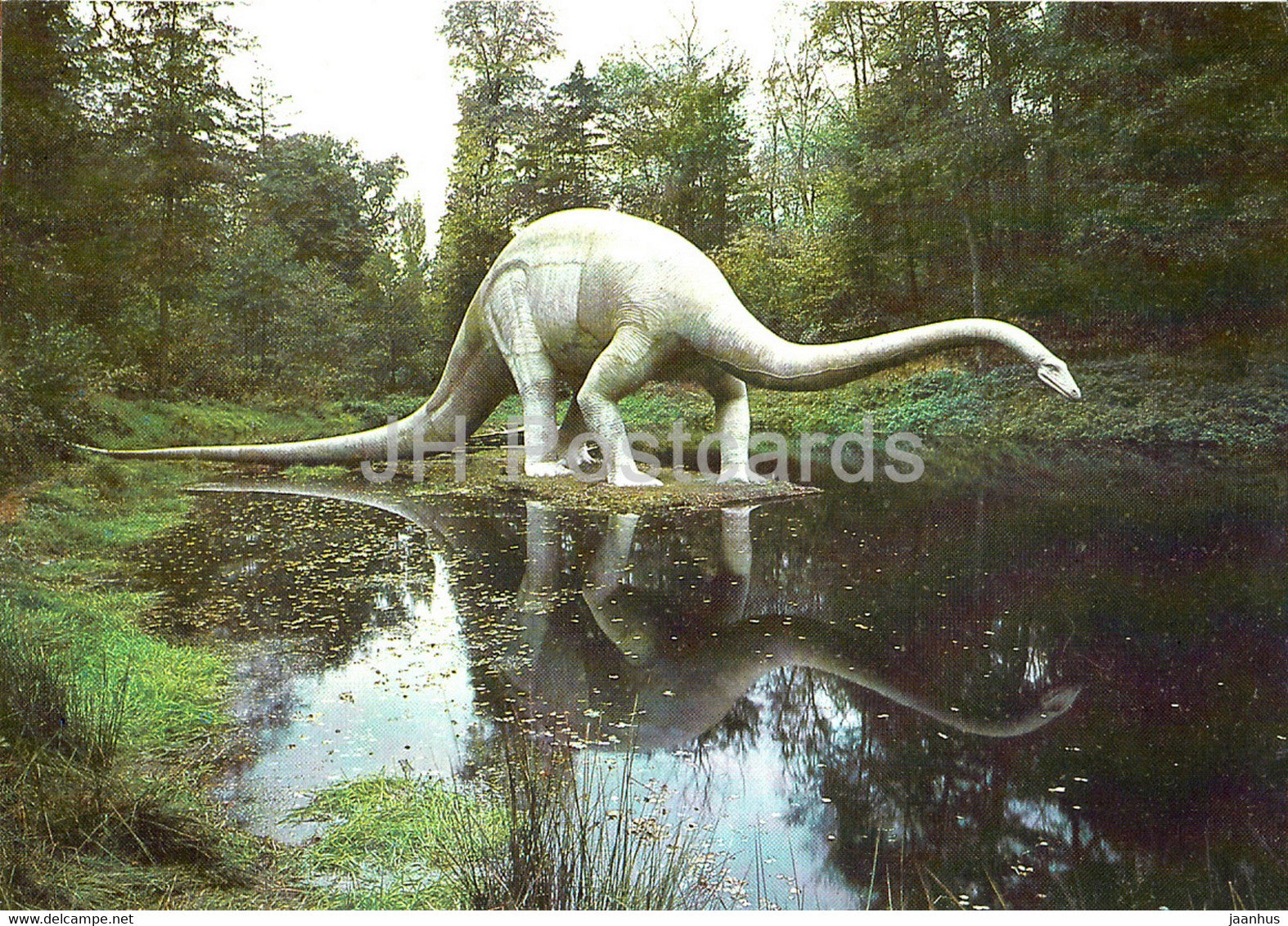 Diplodocus - dinosaur - Saurierpark Kleinwelka - DDR Germany - unused - JH Postcards