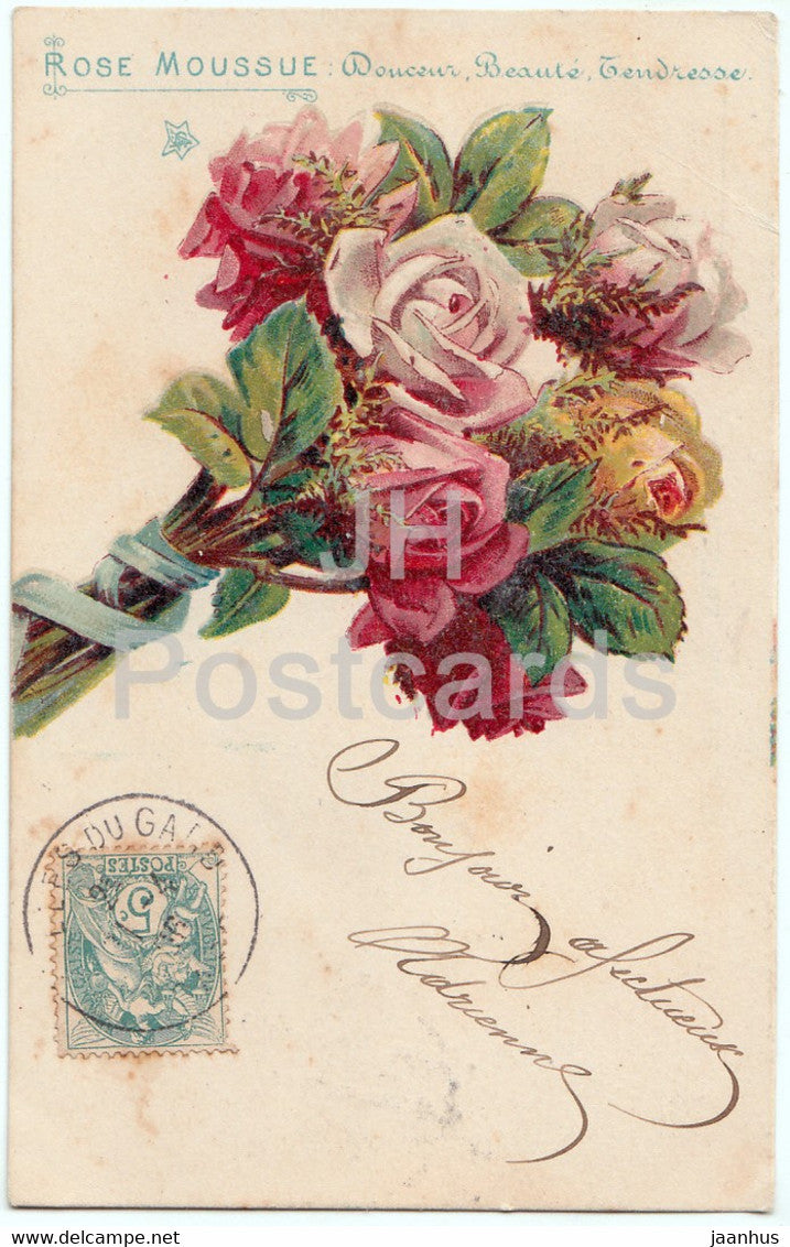 roses - flowers - Rose Moussue - Douceur Beaute Tendresse - illustration - old postcard - 1906 - France - used - JH Postcards