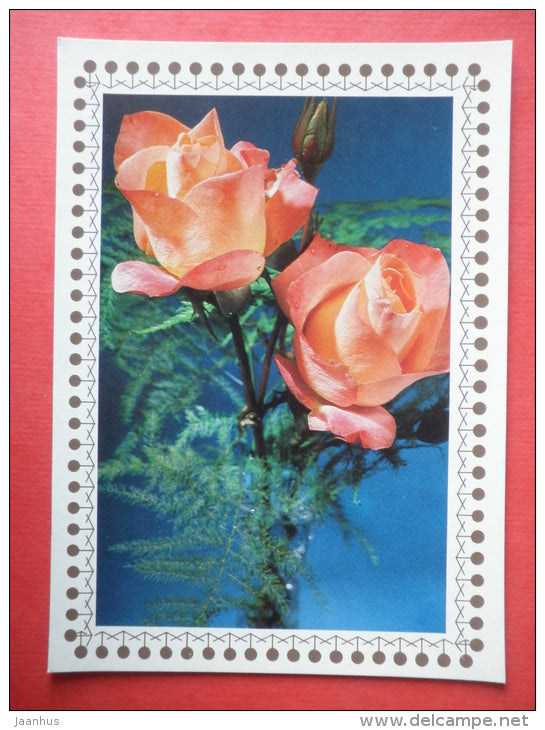 red and pink roses - flowers - Czechoslovakia - unused - JH Postcards