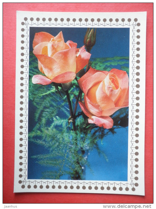 red and pink roses - flowers - Czechoslovakia - unused - JH Postcards