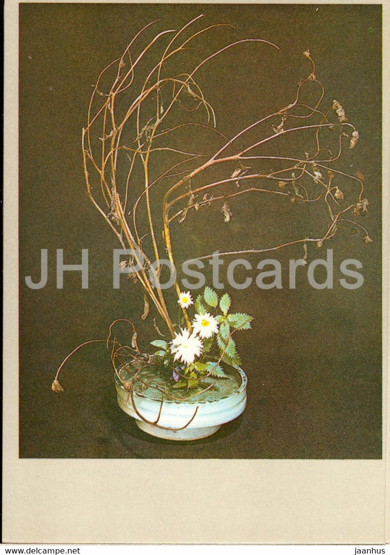 Contradiction - composition - Flower Art - ikebana - 1981 - Estonia USSR - unused - JH Postcards