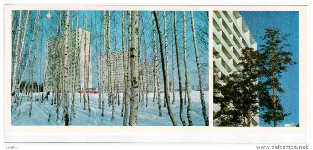 Birch Alley - buildings - Zelenograd - Russia USSR - 1977 - unused - JH Postcards