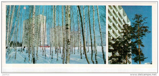 Birch Alley - buildings - Zelenograd - Russia USSR - 1977 - unused - JH Postcards