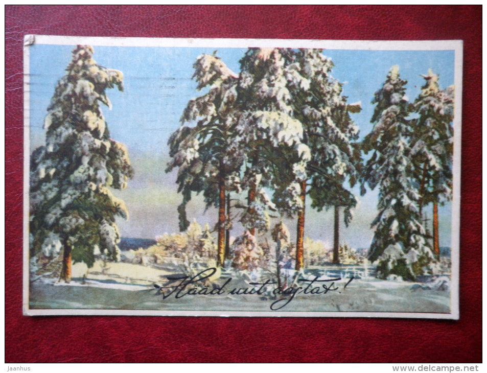 New Year Greeting Card - winter landscape - fir trees - 51 - circulated in 1936 , Tallinn - Estonia - used - JH Postcards