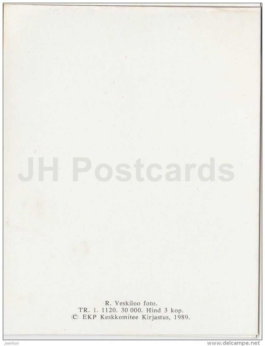 mini Birthday greeting card - red tulips - flowers - 1989 - Estonia USSR - unused - JH Postcards