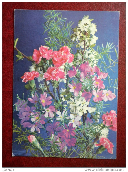 Greeting Card - carnation - flowers - 1978 - Russia USSR - used - JH Postcards