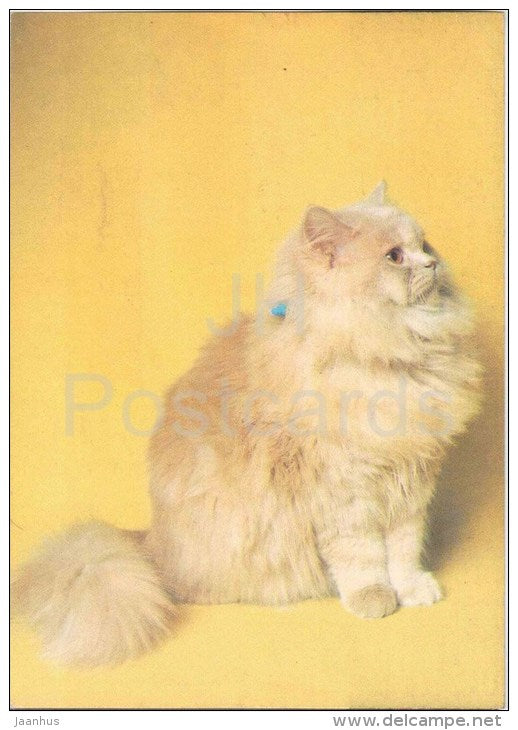 Cream Persian Cat - Cat - 1991 - Russia USSR - unused - JH Postcards