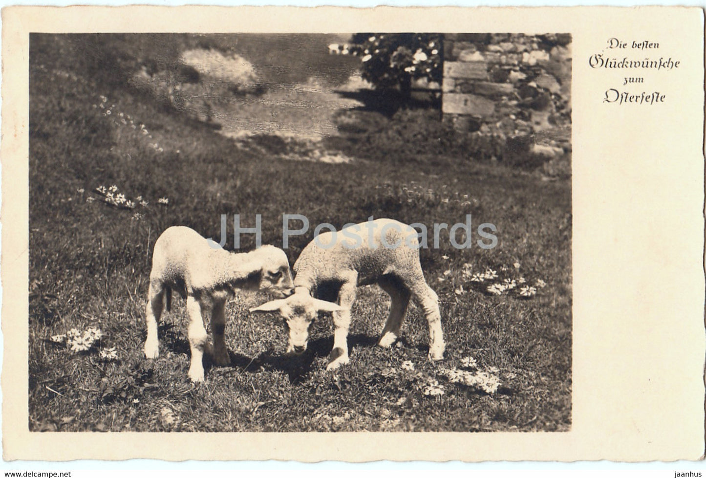 Easter Greeting Card - Die Besten Gluckwunsche zum Osterfeste - lamb - EAS 8767 - old postcard - 1942 - Germany - used - JH Postcards