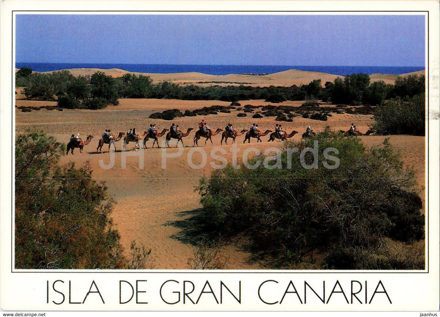 Isla de Gran Canaria - Maspalomas - animals - camel - 12 - 1992 - Spain - used - JH Postcards