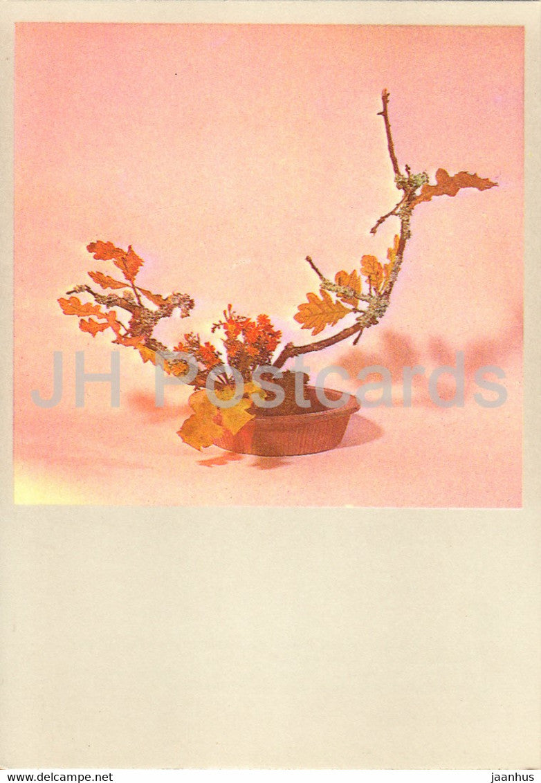 You , nice oak - composition - Flower Art - ikebana - 1981 - Estonia USSR - unused - JH Postcards