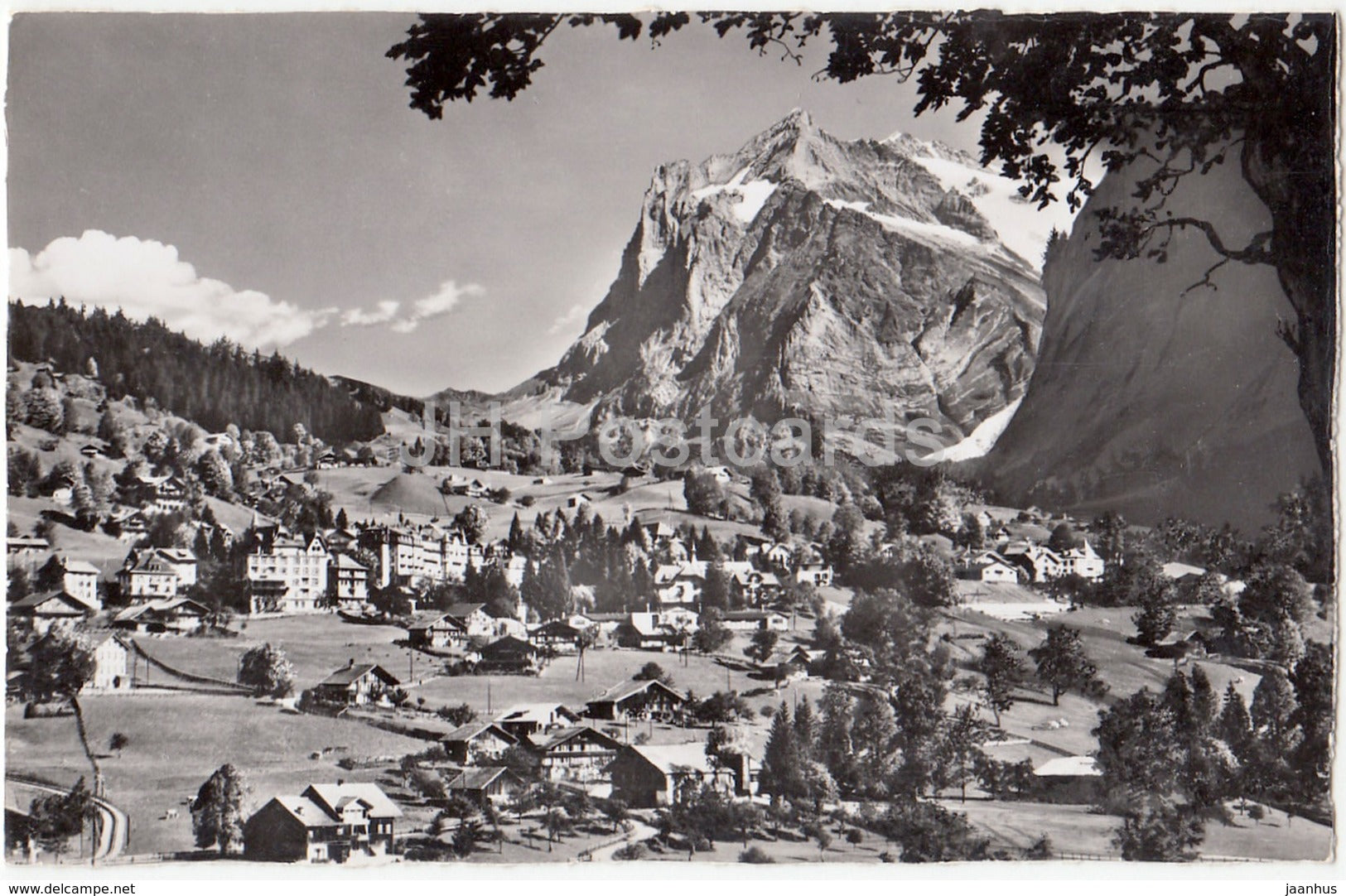 Grindelwald - Wetterhorn - 2079 - Switzerland - old postcard - unused - JH Postcards