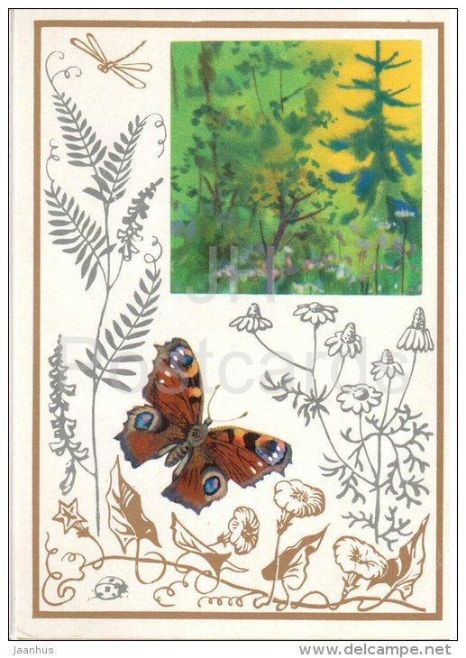 Peacock butterfly - field bindweed - camomile - Predicters of Good Weather - 1974 - Russia USSR - unused - JH Postcards