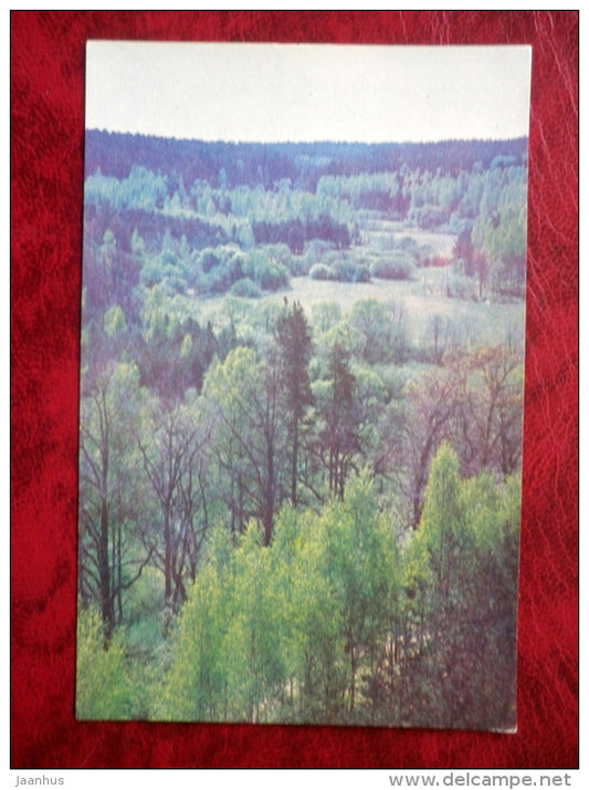 River Valley - Tervete - 1975 - Latvia USSR - unused - JH Postcards