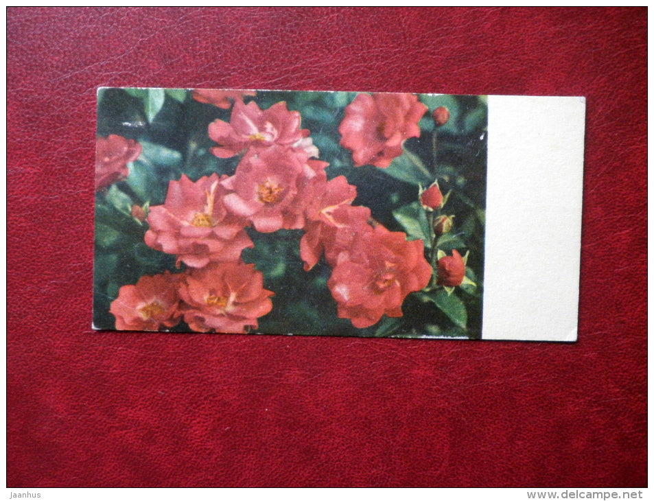 Mini Greeting Card - roses - flowers - 1973 - Estonia USSR - used - JH Postcards