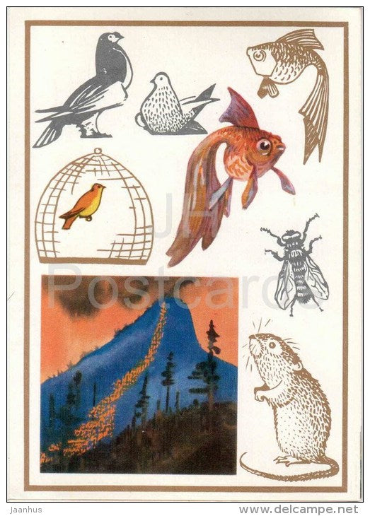 Bank Vole - fly - goldfish - doves - birds - Living Indicators - 1974 - Russia USSR - unused - JH Postcards