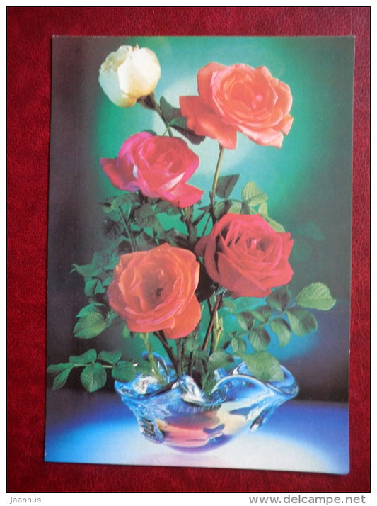 Greeting Card - red and white roses - flowers - 1984 - Russia USSR - unused - JH Postcards