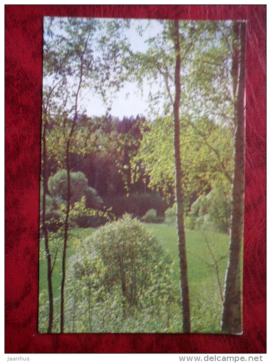 forest meadow in Nature Park - Tervete - 1975 - Latvia USSR - unused - JH Postcards