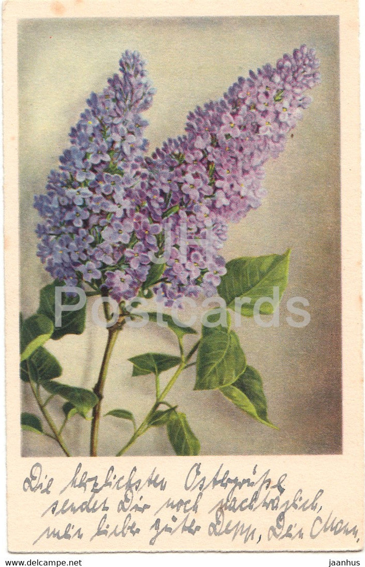 lilac - flowers - Cellaro 6202 - old postcard - 1943 - Germany - used - JH Postcards