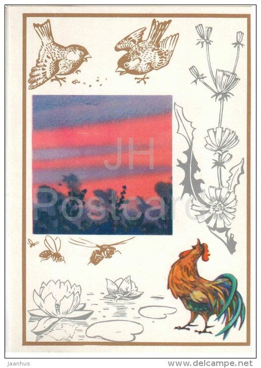 bee - white water lily - cock - chicory - sparrow - Live Clock - 1974 - Russia USSR - unused - JH Postcards