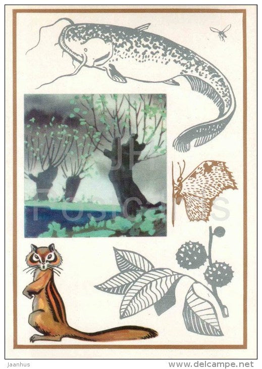 chipmunk - Aesculus - butterfly urticaria - catfish - Before the Rain - 1974 - Russia USSR - unused - JH Postcards