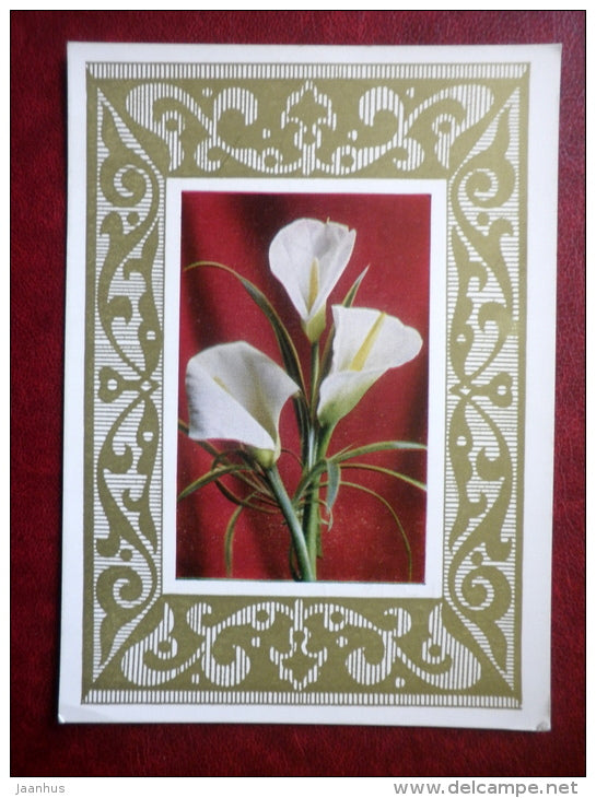 Greeting Card - calla - flowers - 1974 - Russia USSR - used - JH Postcards