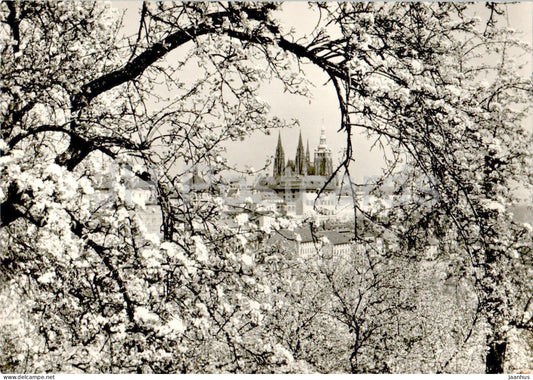 Praha - Prague - Prague Castle from Strahov Garden - 5109 - Czech Republic - Czechoslovakia - unused - JH Postcards