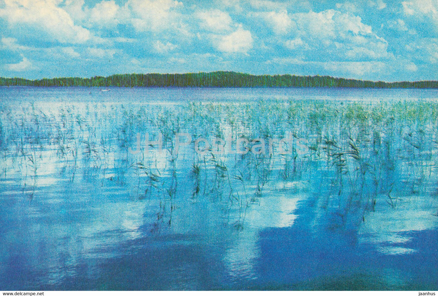 The Gauja National Park - Unguru Lake - 1976 - Latvia USSR - unused - JH Postcards