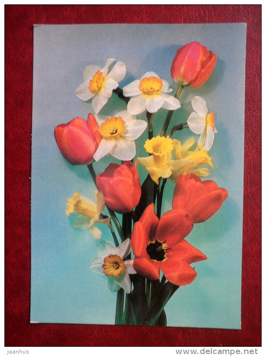 Greeting Card - red tulip - narcissus - flowers - 1984 - Russia USSR - unused - JH Postcards