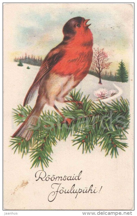 christmas greeting card - bullfinch - birds - winter view - WO 1606 - circulated in Estonia 1930s - JH Postcards