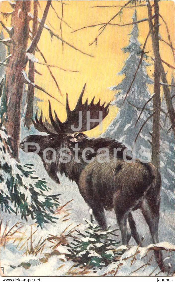 moose - elk - animals - illustration - Serie 449 - old postcard - 1910 - used - JH Postcards