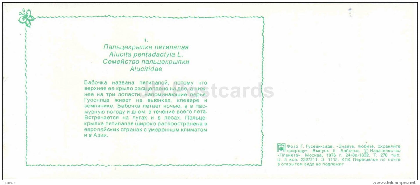 Plume Moth - Alucita pentadactyla - moth - butterfly - 1976 - Russia USSR - unused - JH Postcards