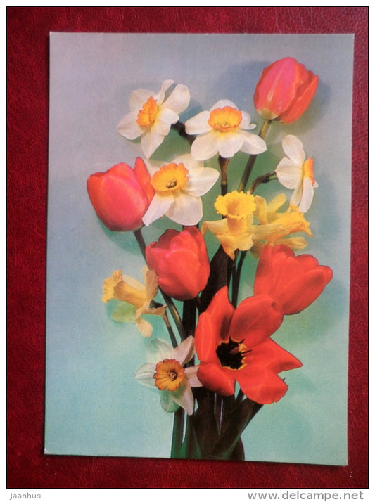 Greeting Card - red tulip - narcissus - flowers - 1984 - Russia USSR - used - JH Postcards