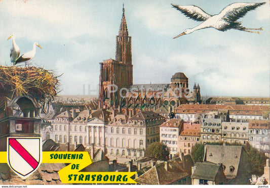 Souvenir de Strasbourg - Vue sur le Palais Rohan et la Cathedrale - Rohanschloss - cathedral - palace - France - unused - JH Postcards