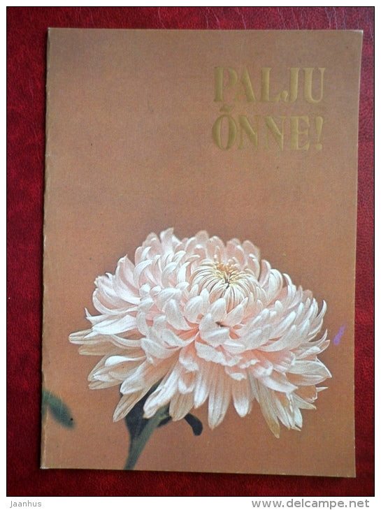 greeting card - chrysantemum - flowers - 1984 - Estonia USSR - unused - JH Postcards