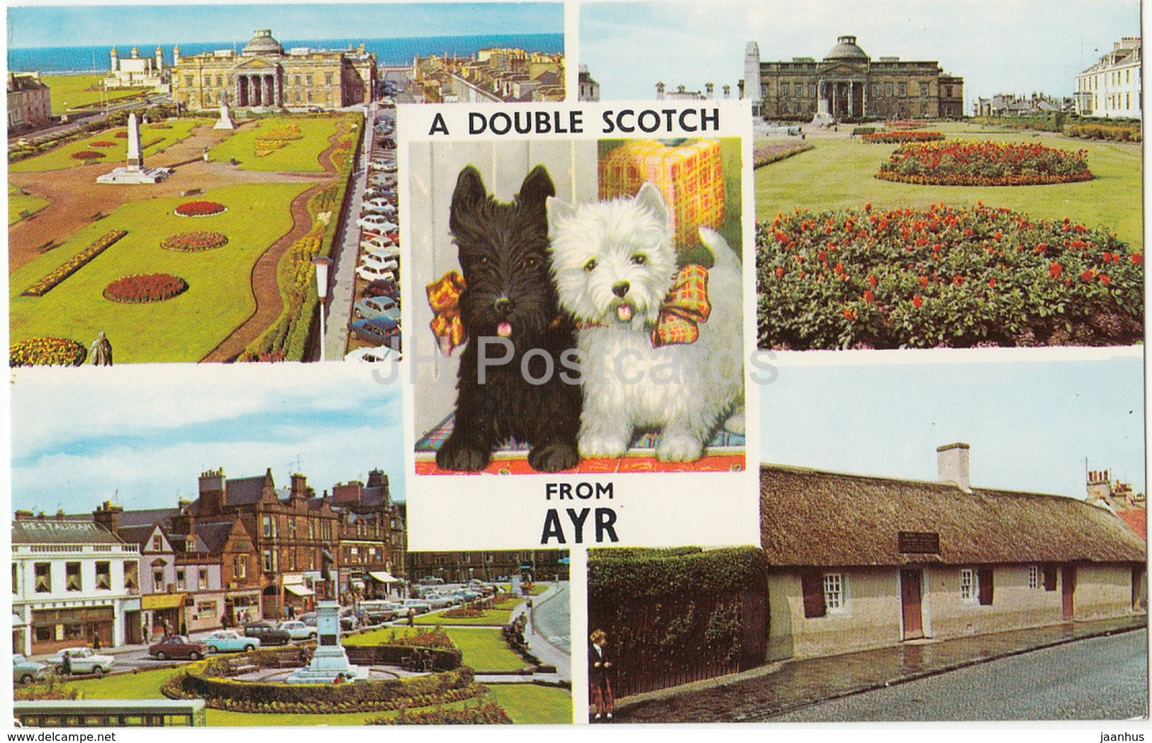 A Double Scotch from Ayr - Wellington Square - multiview - dogs - PLC35824 - 1970 - United Kingdom - Scotland - used - JH Postcards