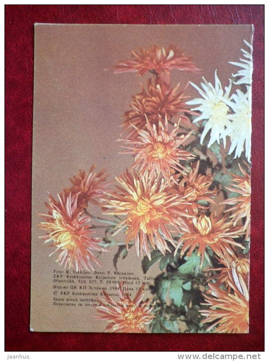 greeting card - chrysantemum - flowers - 1984 - Estonia USSR - used - JH Postcards