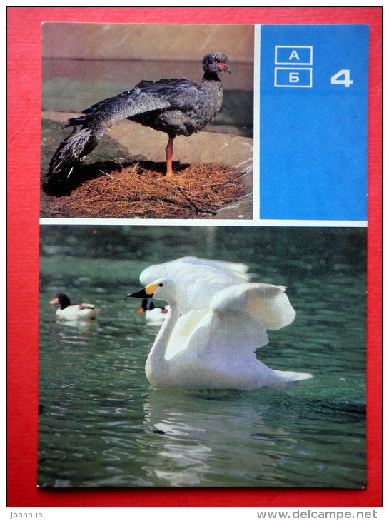 Southern screamer - Tundra swan - Moscow Zoo Birds - 1988 - Russia USSR - unused - JH Postcards