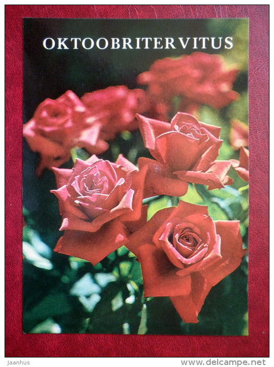 october greeting card - red roses - flowers - 1984 - Estonia USSR - unused - JH Postcards